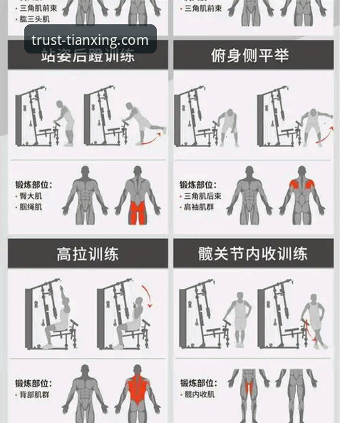 天行体育下载安装使用技巧 天行体育平台核心功能与下载安装使用技巧全面解析